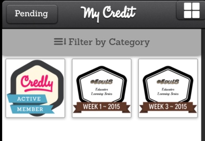 Screen capture of Credly badges