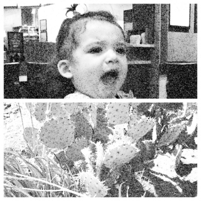 Photo split horizontally with a toddler above and cactus below