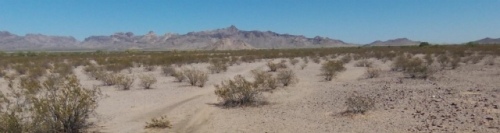 Desert photo of scrub, distant mountains and blue sky